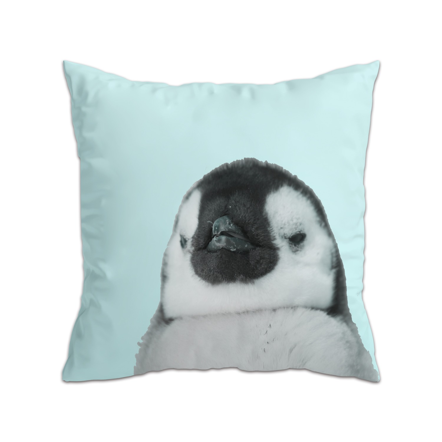 [drawing AMY] Pinggu Cushion
